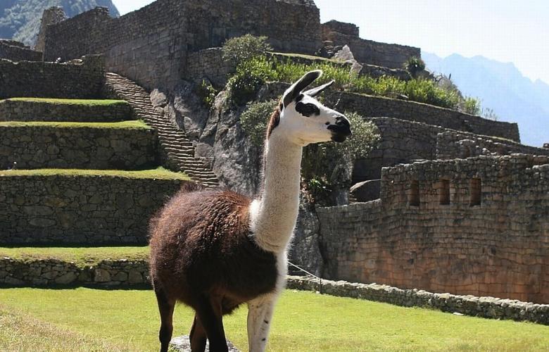 foto 1 Peru' -  Nella Terra degli Incas  
