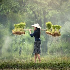 foto 3 splendori dell'Indocina: Laos, Vietnam e Cambogia
